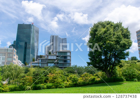 Minato City Hinokicho Park, buildings and large trees 128737438