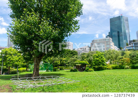港區檜町公園，一棵大樹，一棟建築物和一片草地 128737439