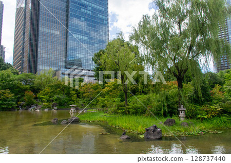 Minato City Hinokicho Park: Japanese garden-style scenery Minato City Hinokicho Park: Japanese garden-style scenery 128737440