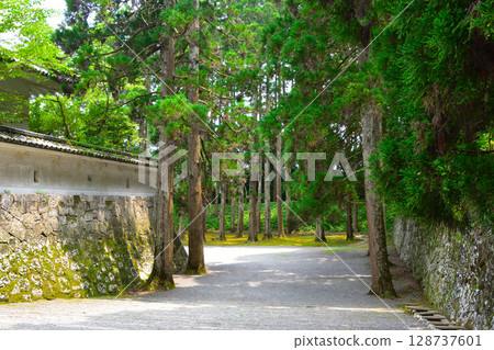 Heng Castle Heng Castle 128737601