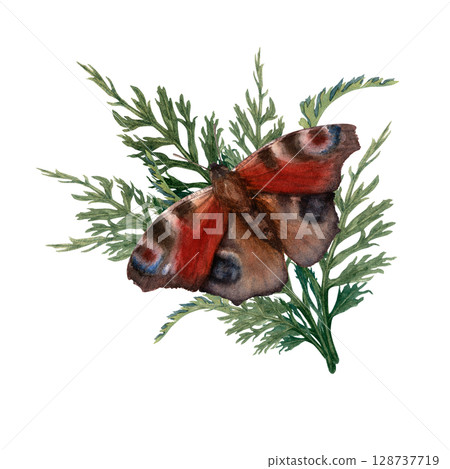 Butterfly Aglais io on green leaves. Watercolor hand drawn illustration. Butterfly Aglais io on green leaves. Watercolor hand drawn illustration. 128737719