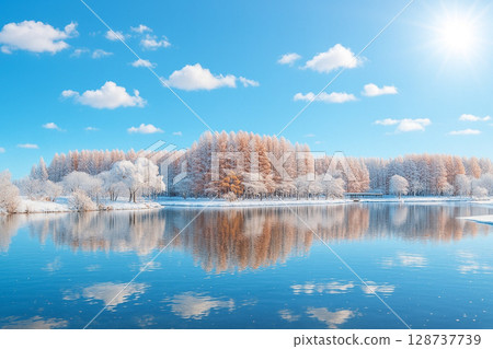水元公園的積雪水杉林和湖面 水元公園的積雪水杉林和湖面 128737739