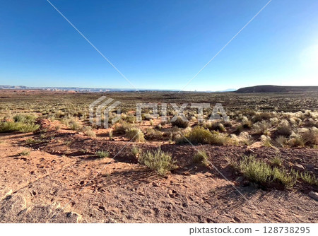 Arizona wilderness desert, USA 128738295