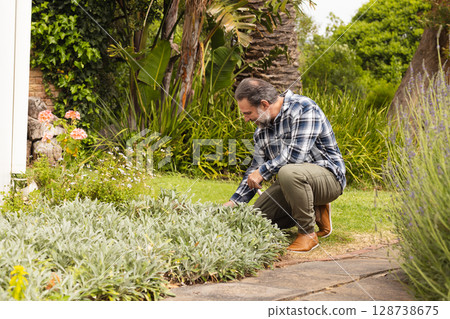 Man in his 50s kneeling and trimming groundcover on garden path, with pruning shears, copy space Man in his 50s kneeling and trimming groundcover on garden path, with pruning shears, copy space 128738675