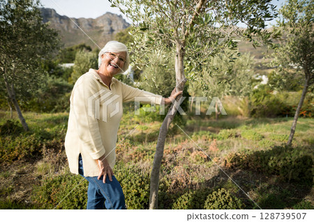 Senior woman leaning and smiling against olive tree trunk in sunlit olive grove, with copy space 128739507