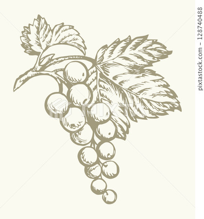 Currants on branch. Vector drawing 128740488