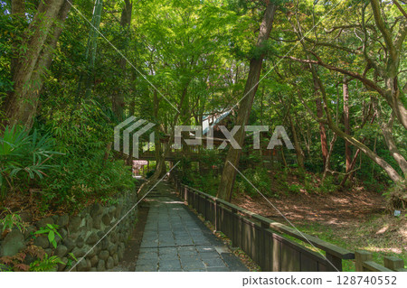小田原城方德二宮神社境內的風景 小田原城方德二宮神社境內的風景 128740552