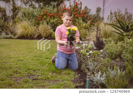 Child kneeling on lawn beside edged flower bed, planting yellow flowers among succulents in garden 128740969