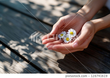 A woman's hand tenderly holding a daisy flower in the sunlight 128741619