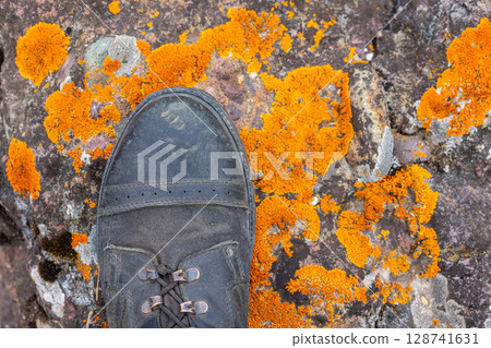 Military style black ankle boot resting on a rock in with orange lichen. 128741631