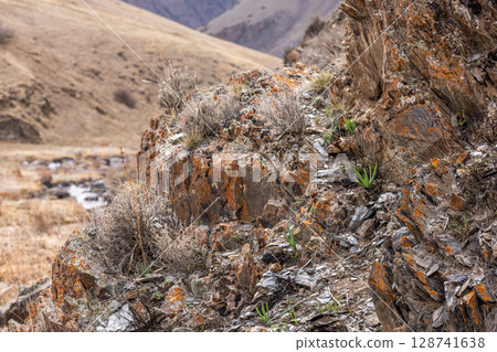 Rugged mountain landscape with rocks and plants in daytime 128741638