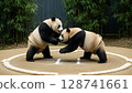 Panda Sumo 128741661