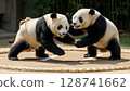 Panda Sumo 128741662