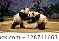 Panda Sumo 128741663