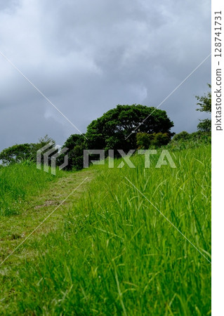 Hillside Nature Trail 128741731