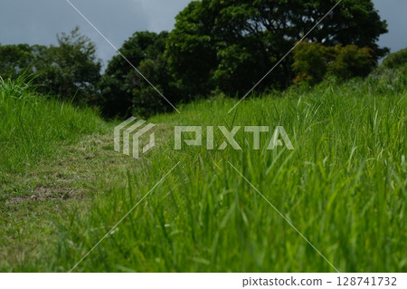 被大自然環繞的鄉村道路 128741732