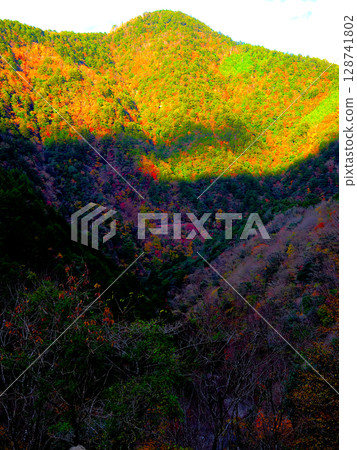 Shizuoka Prefecture, Oigawa Railway, Sekinosawa Observatory 128741802