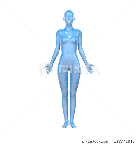 人體模型，女性，人體，AI，安卓 128741813
