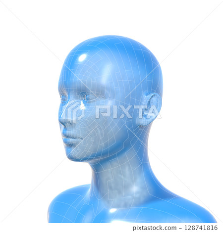 Human Head Model, Female, Human Body, AI, Android Human Head Model, Female, Human Body, AI, Android 128741816