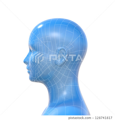 人體頭部模型, 女性, 人體, AI, 安卓 128741817