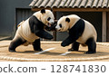 Panda Sumo 128741830