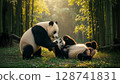 Panda Play 128741831