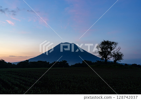 Mountain Yotei in the morning glow 128742037