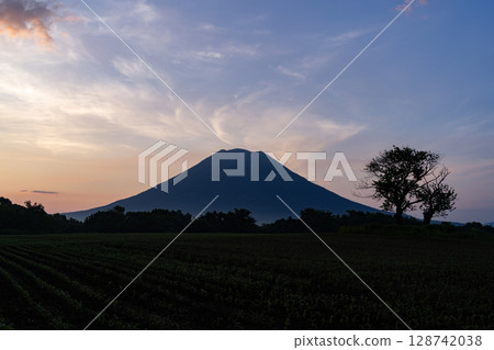 山羊Yotei在早晨發光 128742038