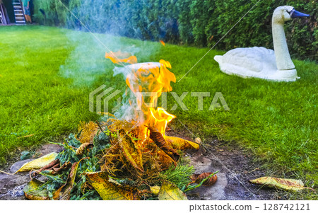 Campfire and smoke in the garden in Brest Belarus. 128742121