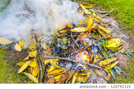 Campfire and smoke in the garden in Brest Belarus. Campfire and smoke in the garden in Brest Belarus. 128742122