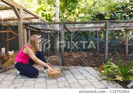 Child kneeling on paved patio in farm backyard gathering eggs from chicken coop into wicker basket Child kneeling on paved patio in farm backyard gathering eggs from chicken coop into wicker basket 128742663
