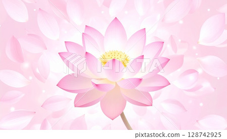Pink lotus flower Pink lotus flower 128742925