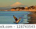 Shichirigahama and Mt. Fuji dyed in the morning sun - A morning in Shonan 128743543