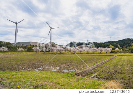 磐田市(靜岡縣)龜戶城跡週邊的櫻花美景 磐田市(靜岡縣)龜戶城跡週邊的櫻花美景 128743645