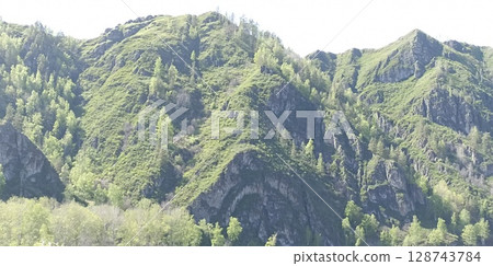 Lush Green Hillside with Spring Foliage and Rock Formations, Natural Beauty in Altay, Russia Lush Green Hillside with Spring Foliage and Rock Formations, Natural Beauty in Altay, Russia 128743784