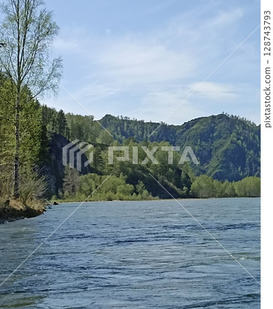 Scenic Riverscape with Lush Forest and Mountain Backdrop Under a Bright Blue Sky 128743793