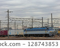 EF66 100th generation Shark JR Freight at Kawasaki Freight Station 128743853