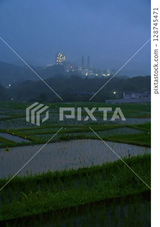 Scenes from the Terasaka Rice Terrace Firefly Festival in Saitama 128745471