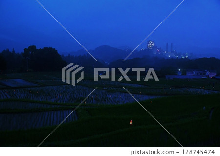 Scenes from the Terasaka Rice Terrace Firefly Festival in Saitama Scenes from the Terasaka Rice Terrace Firefly Festival in Saitama 128745474