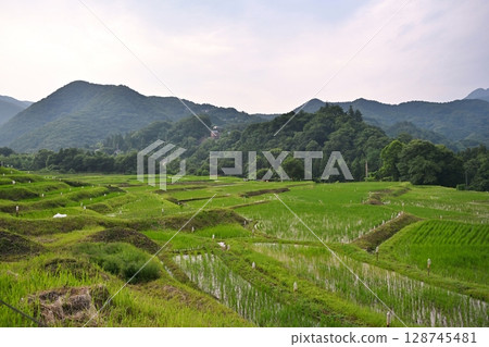 埼玉縣寺坂梯田螢火蟲節的場景 128745481