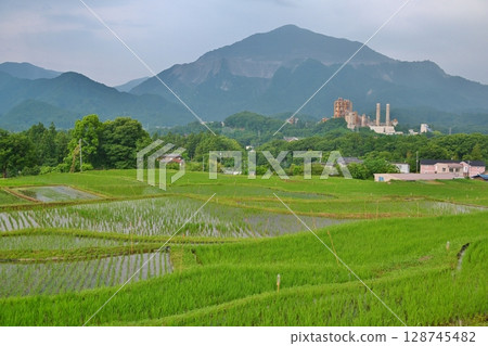 埼玉縣寺坂梯田螢火蟲節的場景 128745482