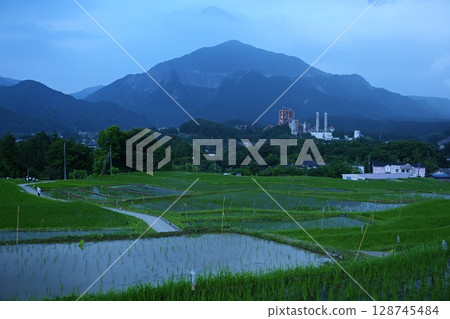 Scenes from the Terasaka Rice Terrace Firefly Festival in Saitama Scenes from the Terasaka Rice Terrace Firefly Festival in Saitama 128745484