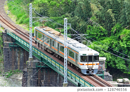 Gotemba Line Yamakita-Suruga-Oyama JR Central 313 series V12 train (Shizuoka) 128746556