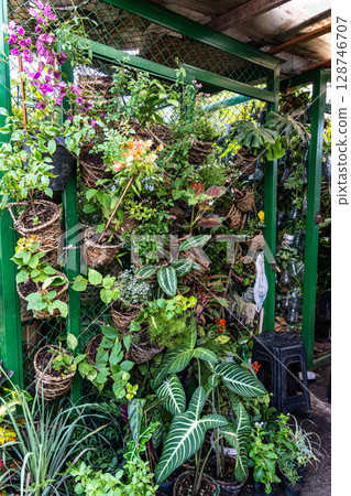 Flowers and plants in Vero-o-Peso market at Belem do Para, Brazil, the famous Public Market in Belem. Flowers and plants in Vero-o-Peso market at Belem do Para, Brazil, the famous Public Market in Belem. 128746707