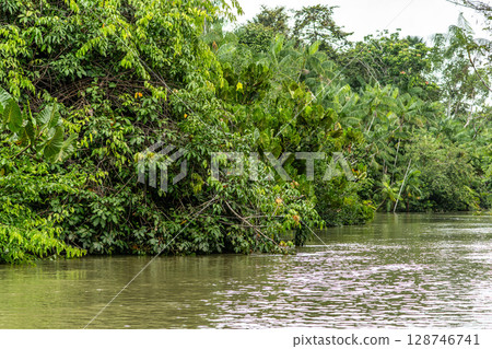 River boat tour on the Guama River at Belem do Para, a city on the north area of Brazil. River boat tour on the Guama River at Belem do Para, a city on the north area of Brazil. 128746741