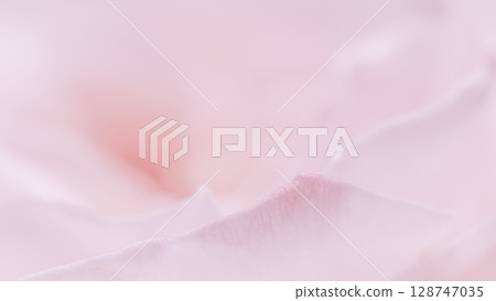 Abstract floral background, pink pale rose flower petals, soft focus. Macro flowers backdrop for holiday brand design Abstract floral background, pink pale rose flower petals, soft focus. Macro flowers backdrop for holiday brand design 128747035