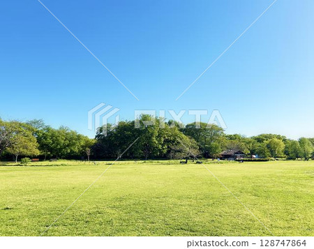 Park square and blue sky on a sunny day Park square and blue sky on a sunny day 128747864