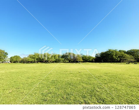 Park lawn square and blue sky Park lawn square and blue sky 128747865