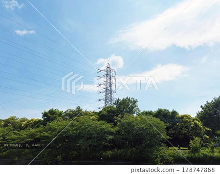 Trees, towers and blue sky in the park 128747868