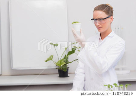 Female scientist examining small potted seedling at lab bench with larger plant and test tube rack 128748239